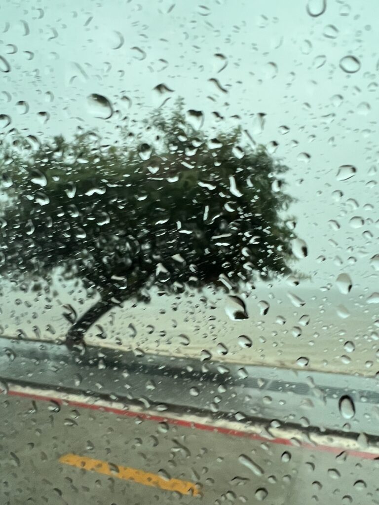 FLORIPA COM CHUVA, E AGORA?